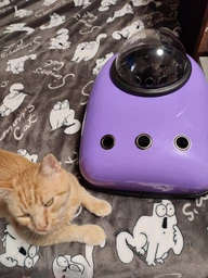 Рюкзак для переноски кошек и собак с иллюминатором CosmoPet Темно-Зеленый медвежонок фото от покупателей 1