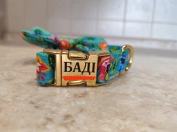 Ошейник Для Собак Bronzedog Urban Folk Нейлоновый c Металлической Пряжкой и Гравировкой Коралловый 20 мм 30-40 см (41/1416)