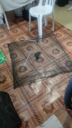 Малявочниця Sams Fish 100 х 100 см (WSI51117)
