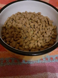 Сухий корм Purina Pro Plan Veterinary Diets Sterilised для стерилізованих котів - кролик 1.5 кг (7613033566325) фото від покупців 2