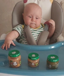 Дитяче пюре Gerber Яблуко з 6 місяців 80 г (7613033514036) фото від покупців 2