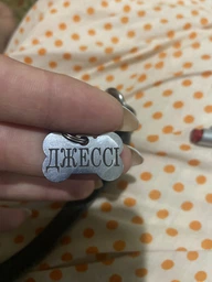 Адресник для Собак BronzeDog из Нержавеющей Стали Косточка Cеребристый 27*17 мм (90011) фото от покупателей 7