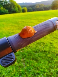 Електросамокат Ninebot by Segway MAX G2 E (AA.05.15.01.0003) фото від покупців 5