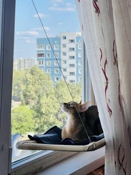 Спальное место для кошки кровать лежанка оконная гамак Sunny Seat Window