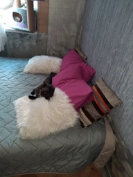 Покривало Sleepingg Bodi двостороннє 240х260 Антиалергенне волокно зі стібкою Сталь/Сіре (4820227286164) фото від покупців 1