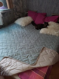 Покривало Sleepingg Bodi двостороннє 240х260 Антиалергенне волокно зі стібкою Сталь/Сіре (4820227286164) фото від покупців 2
