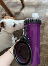 Бутылка с двумя секциями Dexas Pet Meal для воды и корма 720 мл со складной миской 240 мл Фиолетовый фото от покупателей 1