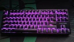 Клавиатура проводная Hator Rockfall 2 Mecha TKL Orange USB Lilac (HTK-724)