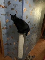 Когтеточка Lucky Pet угловая Люкс 28х69 см Серая фото от покупателей 1
