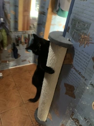 Когтеточка Lucky Pet угловая Люкс 28х69 см Серая