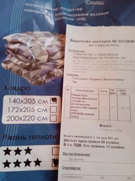 Ковдра Руно - Абстракція плюс всесезонна євро 200x220 см 350 гр/м2 (20957)