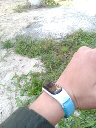 Ремешок ArmorStandart для Xiaomi Mi Band 7/6/5/4 Black/Red (ARM67843)