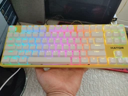 Клавиатура проводная Hator Rockfall 2 Mecha TKL Orange USB Lilac (HTK-724)