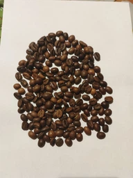 Кава бленд "Vorlen" (50% арабіка, 50% робуста) 250 г з гірчинкою свіже обсмажування Перша кава-обсмажувальна компанія фото від покупців 4
