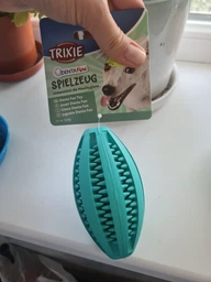 Игрушка Trixie Denta Fun Мяч регби для собак, с мятным вкусом, 11 см (резина) фото от покупателей 1
