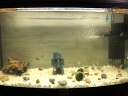 Средство по уходу за водой Tetra Aqua Crystal Water от помутнения воды 100 мл (4004218144040)