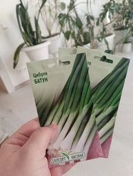 Семена лука батун 1 г Элитсортсемена