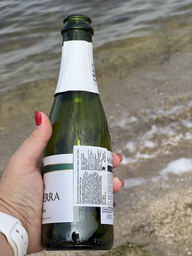 Вино ігристе Cava Jaume Serra Brut Nature біле сухе 0.375 л 11.5% (8411277205005)