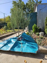 Коврик для садоводства Gardena City Gardening Trimming Mat 150х150 см (00508-20)
