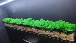 Моссариум со стабилизированым мхом MiNature Moss 80см фото от покупателей 4