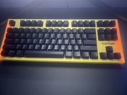 Клавиатура беспроводная Hator Skyfall TKL PRO Wireless ENG/UKR/RUS Yellow (HTK-668) фото от покупателей 1