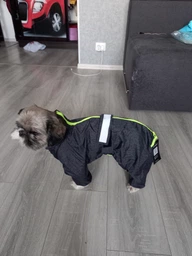 Комбінезон Pet Fashion Rain для собак червоний ML 4823082425655