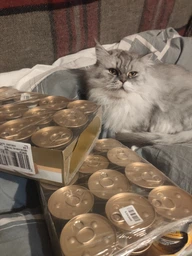 Упаковка влажного корма для кошек Purina Gourmet Gold Паштет с курицей 24 шт по 85 г фото от покупателей 6