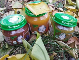 Детское пюре Gerber Кабачок 80 г (7613287348036)
