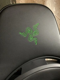 Крісло для геймерів Razer Enki Green (RZ38-03720100-R3G1) фото від покупців 17