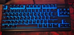 Клавіатура SteelSeries Apex 3 TKL RGB USB Black (64831) фото від покупців 4