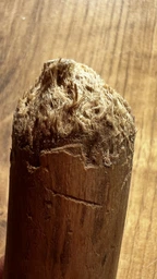 З кавового дерева Палиця HealthyDoggo Coffee Stick розмір S (до 5кг) фото від покупців 4