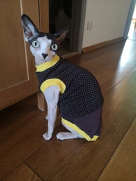 Майка трикотажна для кота або кішки Style Pets Cambr M фото від покупців 1
