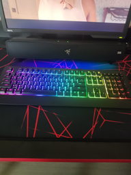 Акустична система Razer Leviathan V2 (RZ05-03920100-R3G1) фото від покупців 5