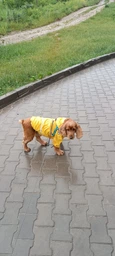 Дождевик Noble Pet Moss Blue M4106/XS (00000437) фото от покупателей 1