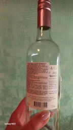 Вино Colette & Co Cinsault рожеве напівсухе 0.75 л 12.5% (3700619337005)
