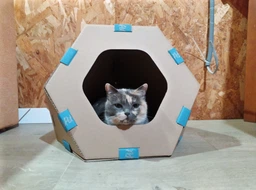 Модульный домик для кошек Collar TelePet 440х440х370 мм (9072Collar) фото от покупателей 17