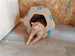 Модульный домик для кошек Collar TelePet 440х440х370 мм (9072Collar) фото от покупателей 16