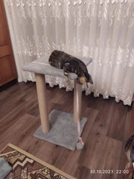 Когтеточка для кота дряпка Мур-Мяу Гламур 37х37х64 см для кошек в сизалевой веревке Светло Бежевый фото от покупателей 2