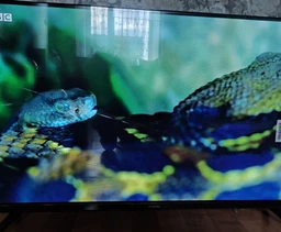 Телевизор Xiaomi Mi TV A2 32" (L32M7-EAUKR) фото от покупателей 12