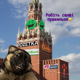 Сухий корм для цуценят великих порід Premium Puppies Large Breeds з куркою 1 кг Ваговий Клуб 4 Лапи фото від покупців 2