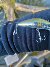Воблер Yo-Zuri F1168 L-Minnow 66S 7г YP фото від покупців 3