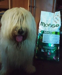 Сухий корм MONGE DOG Maxi Puppy & Junior курка з рисом - 15 кг