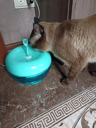 Питьевой фонтан для кошек и собак Pawoof X1 1.5L с фильтром (Зеленый) фото от покупателей 14
