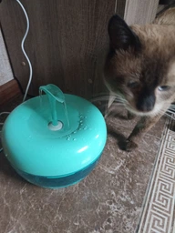 Питьевой фонтан для кошек и собак Pawoof X1 1.5L с фильтром (Зеленый) фото от покупателей 13