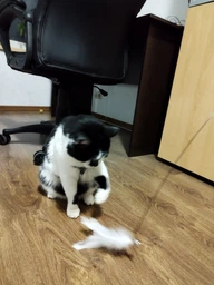 Інтерактивна іграшка для котів з пером та дзвіночком на присосці Cat Stick Sucker Rose