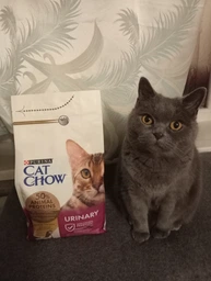 Сухой корм для взрослых кошек Purina Cat Chow Urinary для поддержания здоровья мочевыводящей системы, с курицей 1.5 кг (5997204514387) фото от покупателей 7