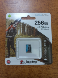 Карта памяти Kingston MicroSDXC 256GB Canvas Go! Plus Class 10 UHS-I U3 V30 A2 (SDCG3/256GBSP) фото от покупателей 4