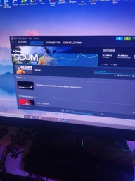 Игра Scum для ПК (Ключ активации Steam)