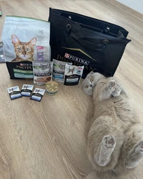 Сухой корм для стерилизованных кошек Purina Pro Plan Sterilised Senior 7+ с индейкой 10 кг фото от покупателей 5