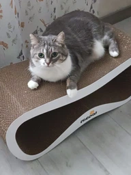 Когтеточка картонная Say Meow Grace, 67 см х 27 см х 24 см